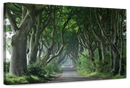 Dark Hedges Wall Art