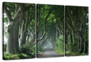 Dark Hedges Wall Art