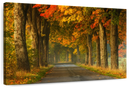 Polish Autumn Road Wall Art