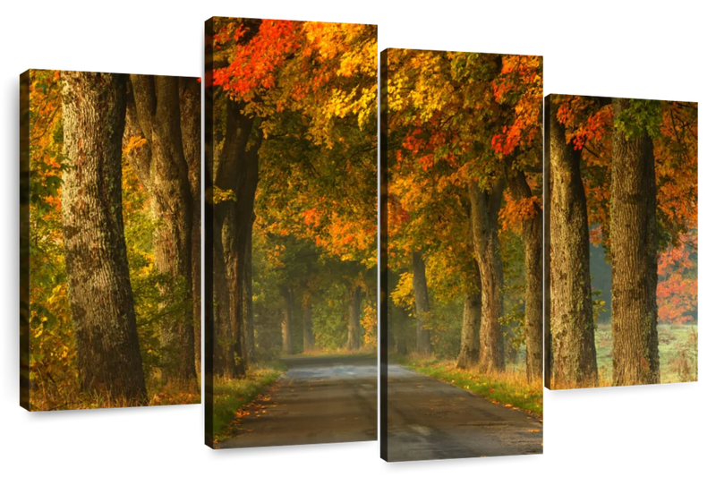 Polish Autumn Road Wall Art