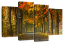 Polish Autumn Road Wall Art