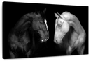 Monochromatic Horses Wall Art