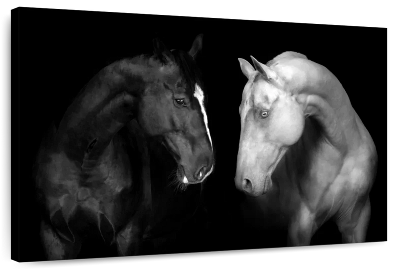 Monochromatic Horses Wall Art