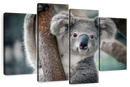 Happy Koala Wall Art
