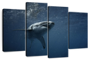 Great White Shark Wall Art