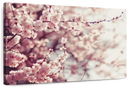 Delicate Cherry Blossoms Wall Art