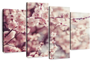 Delicate Cherry Blossoms Wall Art