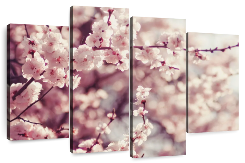 Delicate Cherry Blossoms Wall Art