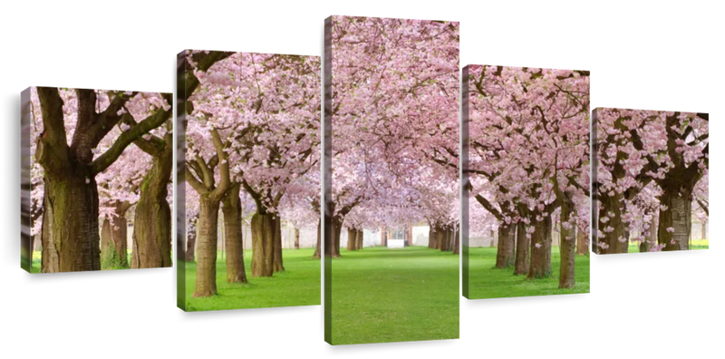 Cherry Blossom Trees Wall Art