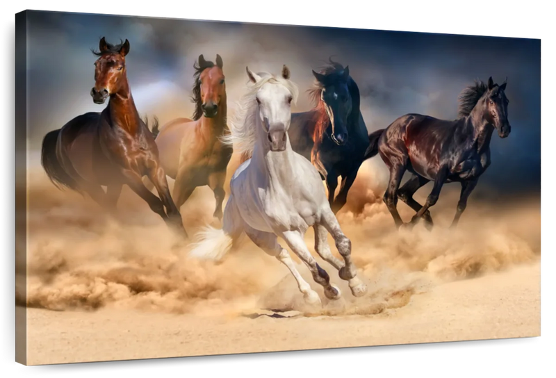 Running Herd Of Horses Wall Art