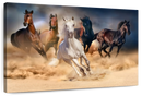 Running Herd Of Horses Wall Art