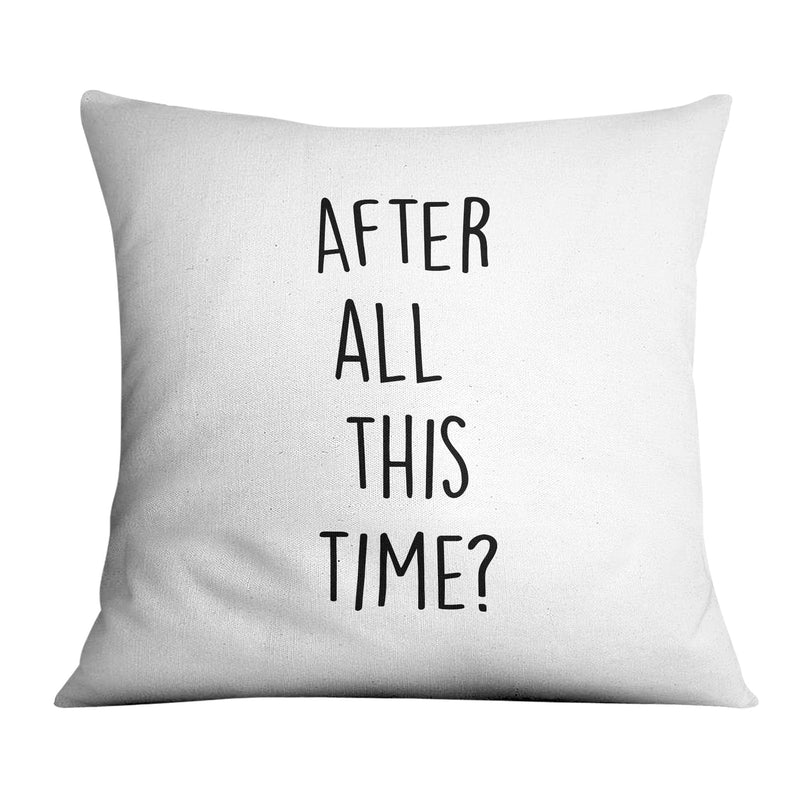 After All This Time Cushion