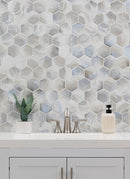 MSI Akoya Pearl 3" Hexagon Mosaic Tile
