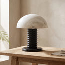 Alabaster Ben Swildens Modern Table Lamp