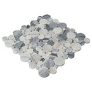 MSI Alaska Gray Pebble Polished Tile