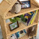 Alaya House Shelf by MOMIJI US LLC