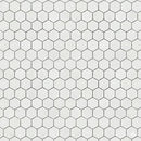 Alpina White Polished Hexagon Marble Mosaics 10 3/8x12
