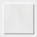 Alpina White T Honed Marble Tiles 18x18