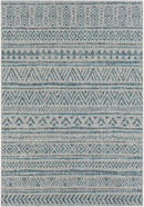 Novato Aqua All Over Pattern Performance Rug