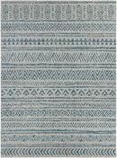 Novato Aqua All Over Pattern Performance Rug