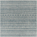 Novato Aqua All Over Pattern Performance Rug