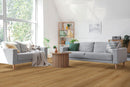 MSI Amber Forrester Luxury Vinyl Planks