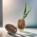 GobekUsa Frosted Glass Vase Home Decoration Floral Arrangement Hydroponics Terrarium Jar