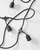 Ambience Pro LED Plug-in String Lights 1W