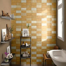 Ambra Matte Ceramic Tiles 4x8
