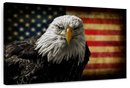 Eagle And Flag Of America Wall Art