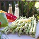 American Outdoor Grill 30NBL L-Series 3-Burner Built-In Natural Gas Grill W/ Rotisserie Kit, 30" [30NBL] (SAK57636)