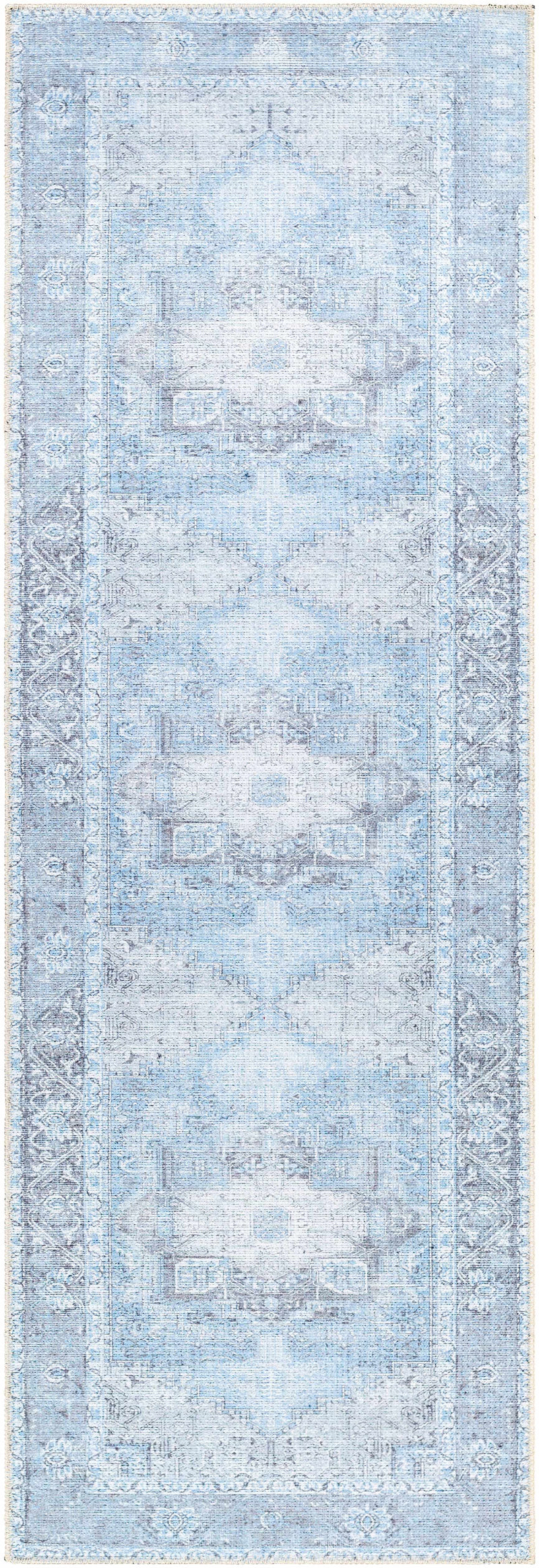 Aqua Rosman Washable Runner & Area Rug