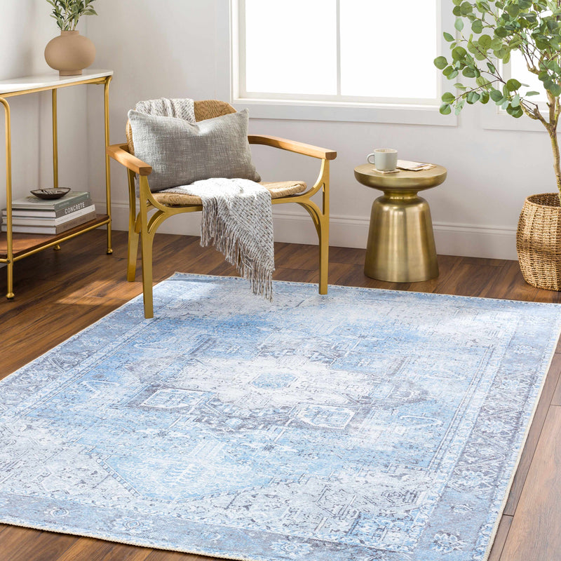 Aqua Rosman Washable Runner & Area Rug