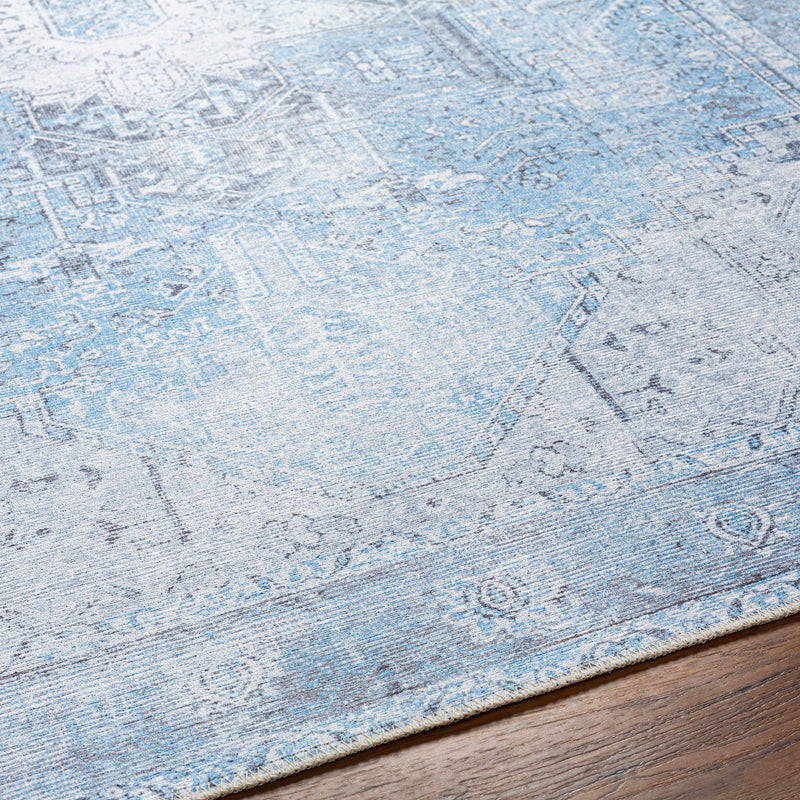 Aqua Rosman Washable Runner & Area Rug