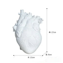 Anatomical white ceramic heart shape vase living room decor by Decorbites