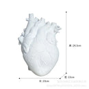 Anatomical white ceramic heart shape vase living room decor by Decorbites