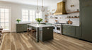MSI Andover Wilton Luxury Vinyl Planks