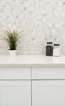 MSI Angora Polished 2" Hexagon Mosaic Tile