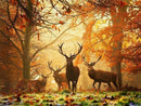 Animals In Autumn Forest