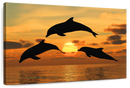 Flying Dolphins Wall Art
