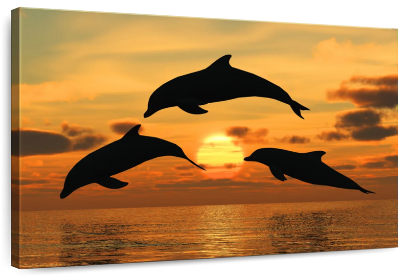 Flying Dolphins Wall Art