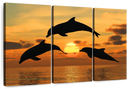 Flying Dolphins Wall Art