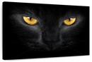 Yellow Eyed Cat Wall Art