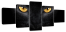 Yellow Eyed Cat Wall Art