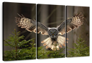 Flying Owl Wall Art
