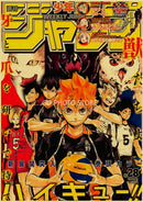 Hunter x hunter weekly shonen jump anime poster collection bedroom decor