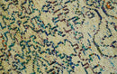 Antique 8x10 Hand Knotted Beige and Blue Persian made of Recycled Silk Area Rug | OP20