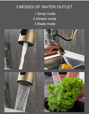 GobekUsa Antique Bronze Pull Out Kitchen Faucet