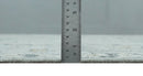 Distressed finished 8x10 Gray and Silver Low Pile wool Rug