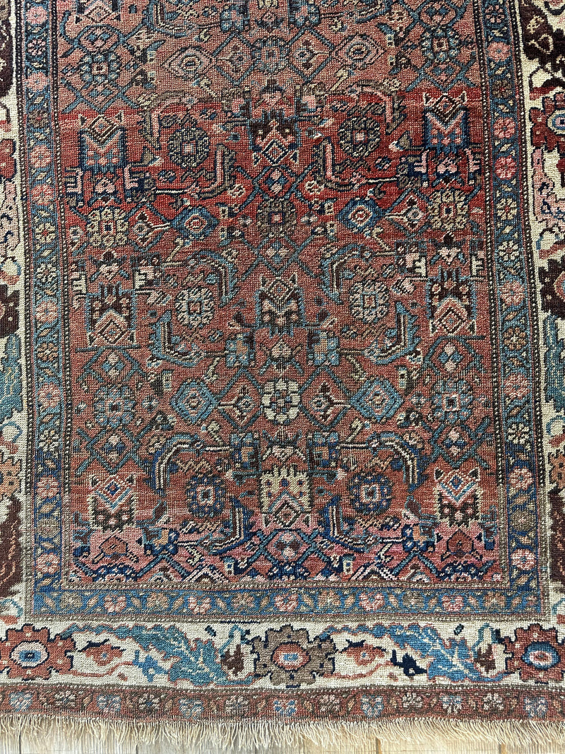 Antique Late 19th Century Persian Kurdish Gholtogh Rug 4 x 7